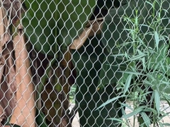 Edelstahl-Seilnetz-Netzwerk Metalldrahtnetz Ferrule Zoo-Netz Diamant-förmige Gitterstruktur