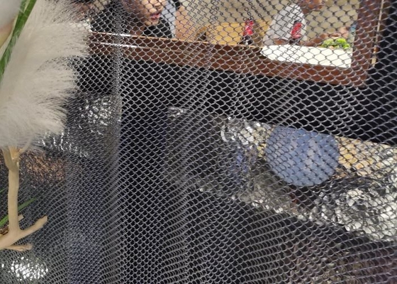 Drapierungs-flexibler dekorativer Draht Mesh Curtain 2mm für Hotel-Dekoration
