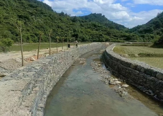 Gabion Mesh (6cm x 8cm) Perfekt für Gartenarbeit und Landschaftsgestaltung, heiß getaucht, galvanisiert