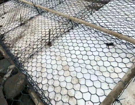 Dunkelgrüne PVC beschichtete Gabions-Körbe 80mm*100mm Mesh Opening For Civil Project