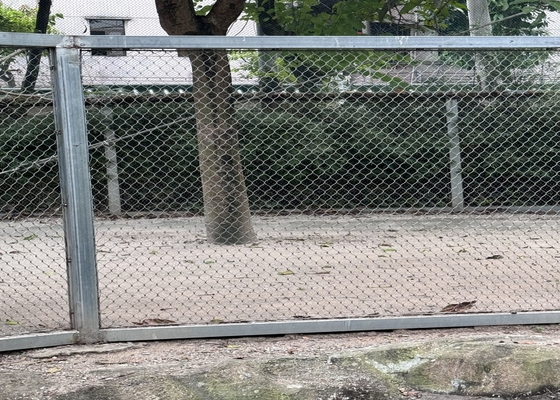 Hohe Festigkeit 2 mm Durchmesser Drahtseilnetz für sichere Zoo-Tierenhäuser