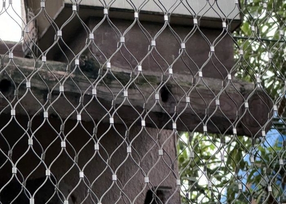 Rhomboid Hole Rockfall Prevention Netting mit Ferruled Verbindung für Zoo