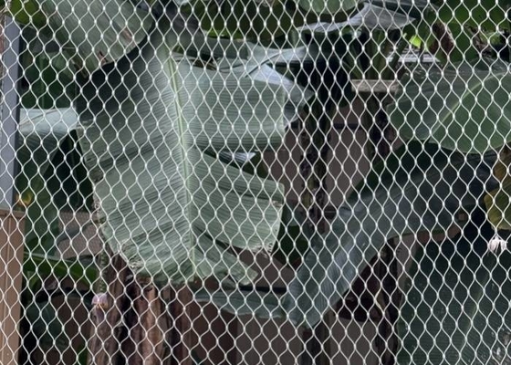 Rhomboid Hole Zoo Seilnetz aus Edelstahl Flexible Ferroled für Tiergehege